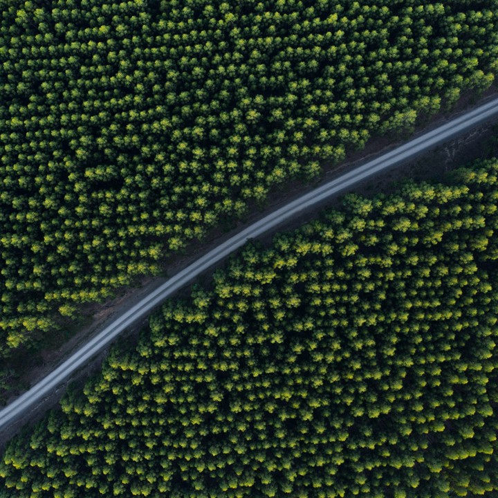 Kiril Dobrev 9Ka31genykm Unsplash